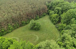 MOORE Rd, Red Banks, MS 38635