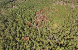 1.08 MOL AC Old HWY 24 Parcel 24, Mc Lain, MS 39456