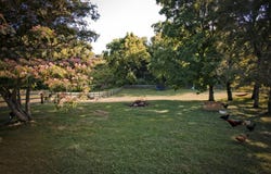 646 Cherry Trace Drive, Richmond, KY 40475