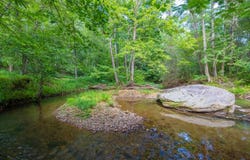 932 Woodland Lane, Dahlonega, GA 30533