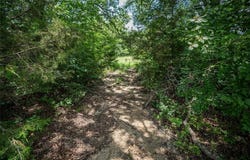 Tbd CR-129, Terrell, TX 75161