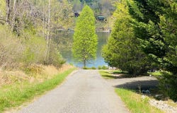 Lot 10 Norris Road, Butler, TN 37640
