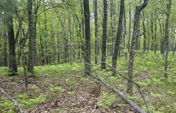 00 Oxpath, Baldwin, MI 49304