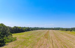 0 Joes Trail, Monetta, SC 29105