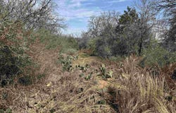 Lot 295 Pinemont Drive, Kingsland, TX 78639
