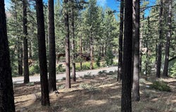 66 Pleasant Valley Road, Markleeville, CA 96120