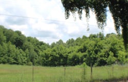 2456 RAY BLUFF Rd, Unincorporated, TN 38053