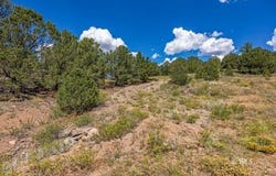 143 Taos Trail, Westcliffe, CO 81252