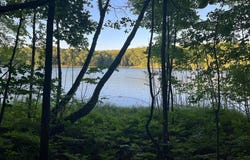 V/L Alpine Drive, Reed City, MI 49677