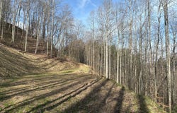 269 Flowering Ridge, Whittier, NC 28789