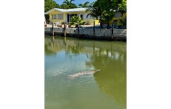 11280 1st Avenue Gulf, Marathon, FL 33050
