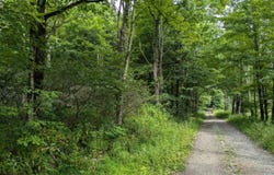 0 BERKEY HOLLOW ROAD, ALUM BANK, PA 15521