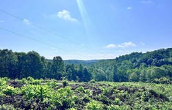 HUNTING LODGE RD, Schuyler, VA 22969