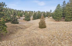 103 Terrace Road, Kalispell, MT 59901