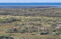 Tract 25 lot: 41, South Padre Island, TX 78597
