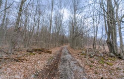 52 Oak hill Road, Granville, NY 12832