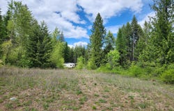 318 ROCKABYE LN, CURLEW, WA 99118