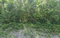 Crystal Lane lot: #56, Roscommon, MI 48653