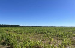 4900 Block Highway 97, Walnut Hill, FL 32568