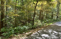 1875 Dyer Hollow Road, Mohawk, TN 37810