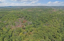 80+/-Acres Proctor Lane, Gravois Mills, MO 65037