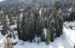 100 Discovery Drive, Donnelly, ID 83615