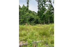 234 Madison CR 410, Fredericktown, MO 63645