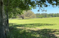 19450 Block NW 94TH AVENUE, ALACHUA, FL 32615
