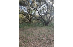 5797 N McKree Terrace, Crystal River, FL 34428