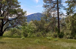 8 Timberwood Lane, Oakhurst, CA 93644