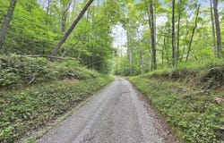 0 Lot #1 Thad Hall Road, Laurelville, OH 43135