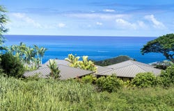 81-6624 HIAAIONO PL, Kealakekua, HI 96750