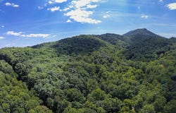 TBD 29.54 acres Hollow Ln, Lexington, VA 24450