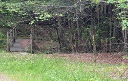Bordell Rd., Smethport, PA 16749