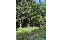 Pine Drive lot: 40, Garfield, AR 72732