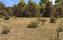 99 Pine Tree Lane, Beulah, MI 49617