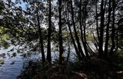 1288 South Perley Brook Road, Fort Kent, ME 04743