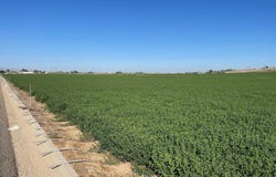 Melmont Parcel 4, Melba, ID 83641