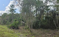 1012 KODIAK Avenue, LEHIGH ACRES, FL 33974