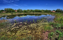 Tbd Fm 1919, Crowell, TX 79227