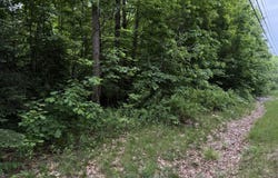 Lot 09 Riverside Drive, Auburn, ME 04210