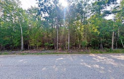 395 & 396 Balsam Drive, Presque Isle, MI 49777