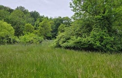 Tbd Boatmans Mountain Road, Morristown, TN 37814
