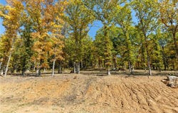 Lot 23 Restore Ridge, Harrison, AR 72601