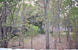 1802 Cottonwood Road, Carrollton, TX 75006
