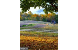 6310 SAINT LEONARD Road, SAINT LEONARD, MD 20685