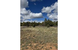 Road 39.2, Mancos, CO 81328