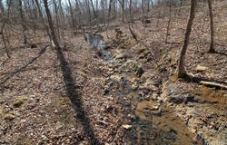 0 Madison CR 411 (120a), Fredericktown, MO 63645