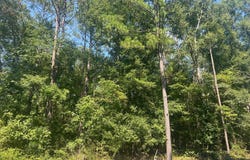 203 Pebble Cove Rd, Abbeville, AL 36310