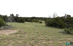 22 RUNNING BEAR Cir, Quemado, NM 87829